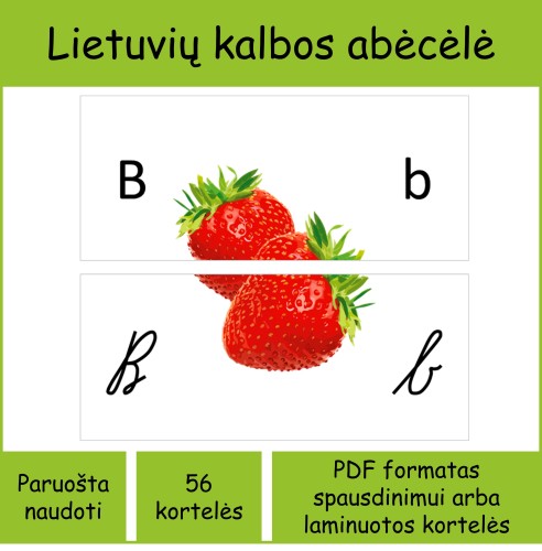 Abėcėlė rašytinėmis ir spausdintinėmis raidėmis (Nr. P58)