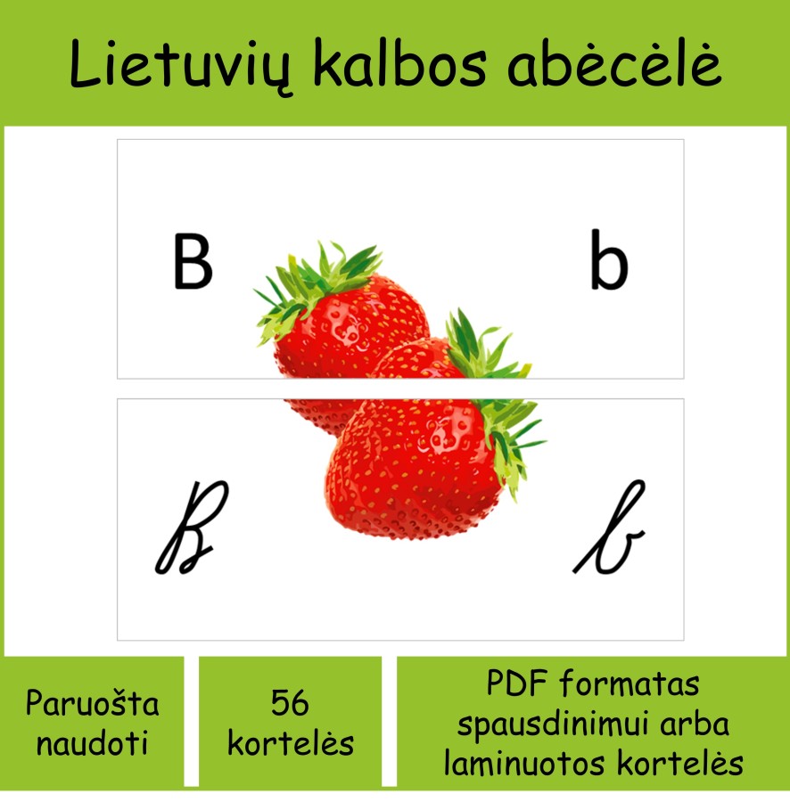 Abėcėlė rašytinėmis ir spausdintinėmis raidėmis (Nr. P58)