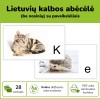Abėcėlė su paveikslėliais (Nr. P57)