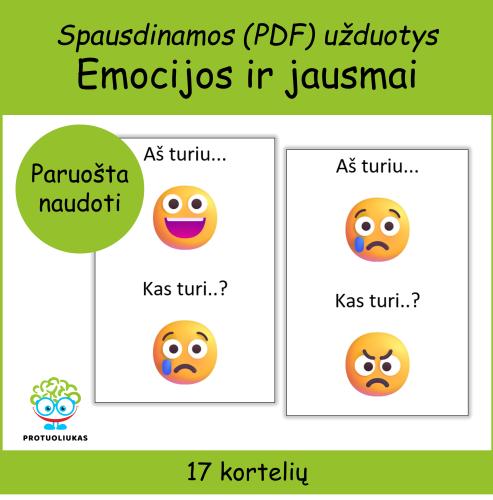 Aš turiu.. Kas turi..? Emocijos (Nr. P108)