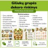 Giliukų grupės dekoro rinkinys (Nr. P219)