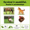 Gyvūnai ir paukščiai - realiai ir paveikslėlyje (P99)