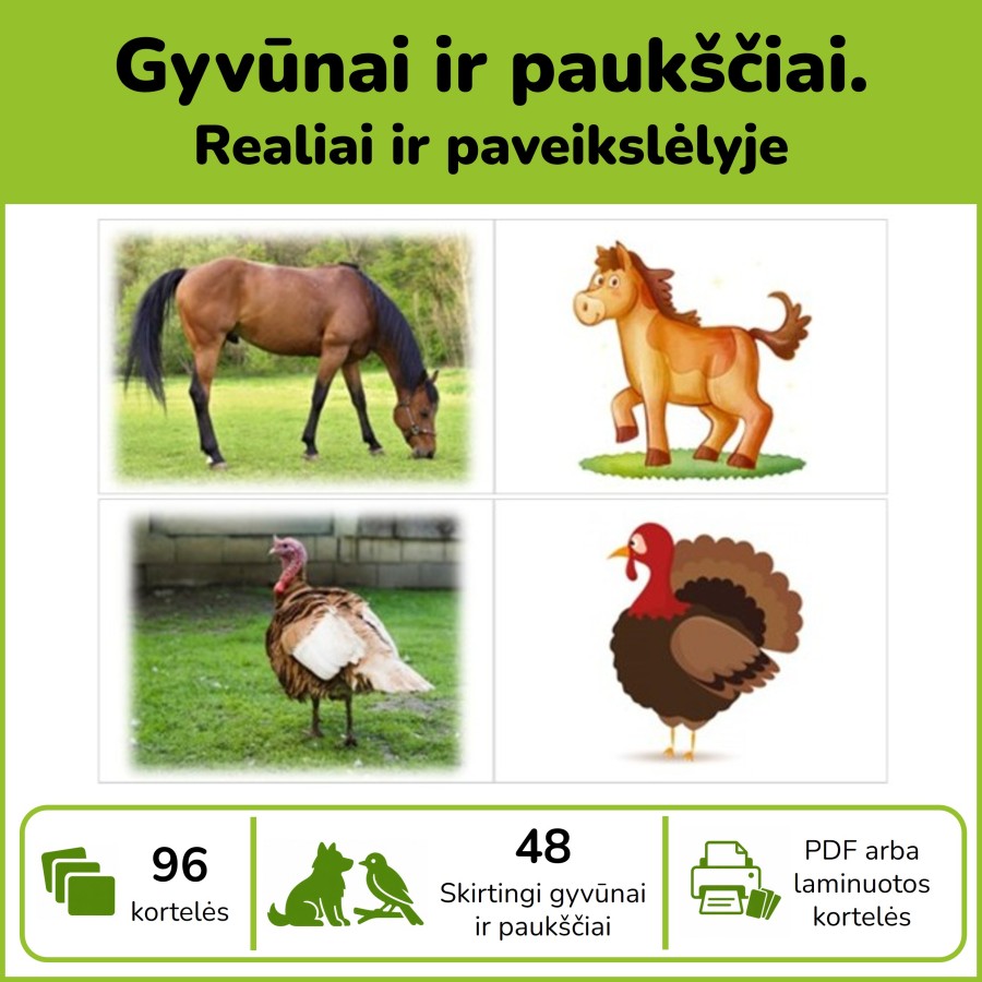 Gyvūnai ir paukščiai - realiai ir paveikslėlyje (P99)