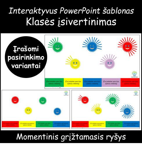 Įsivertinimas (Nr. 221)