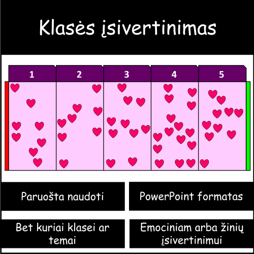 Įsivertinimas (Nr. 253)