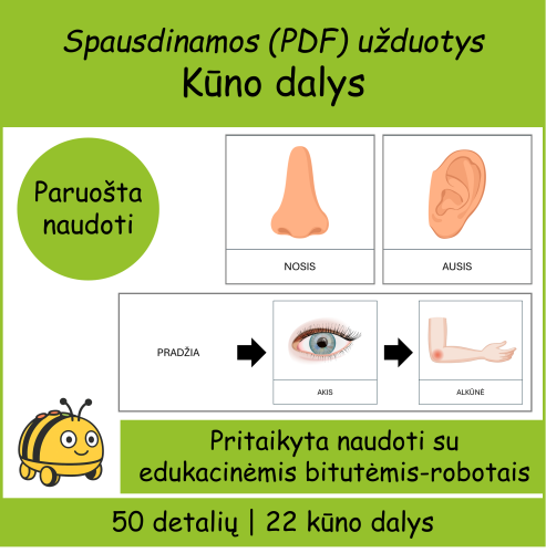 Kūno dalys (Bee-bot) (Nr. P105)
