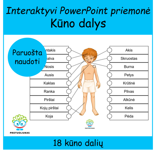 Kūno dalys (Nr. 195 / P85)