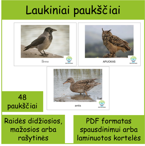 Laukiniai paukščiai (Nr. P90)