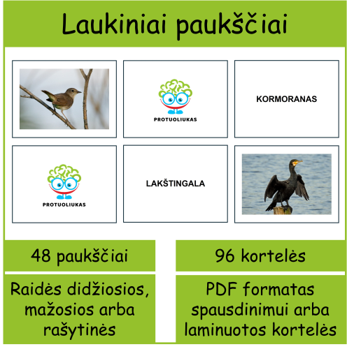 Laukiniai paukščiai. Atminties kortelės (Nr. P91)