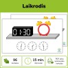 Mechaninis ir elektroninis laikrodis (Nr. P124)