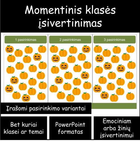 Momentinis įsivertinimas (Nr. 212)