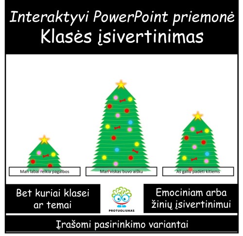 Momentinis įsivertinimas „Eglutės“ (Nr. 162)