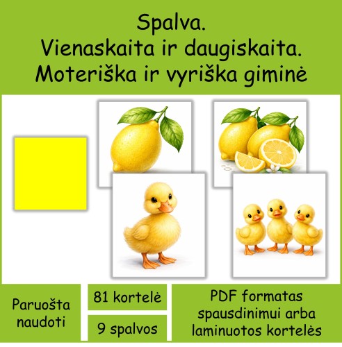 Daiktavardžių derinimo kortelės – giminė, skaičius, spalva (Nr. P159)