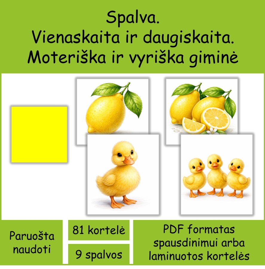 Daiktavardžių derinimo kortelės – giminė, skaičius, spalva (Nr. P159)