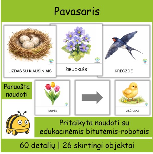 Pavasario kortelės | Tinka Bee-bot edukacinėms bitutėms (Nr. P152)