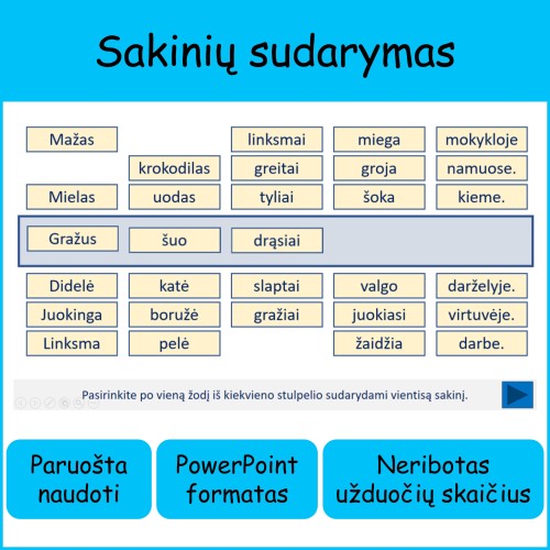 Sakinių sudarymas (šablonas) (Nr. 154)