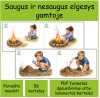 Saugus ir nesaugus elgesys gamtoje (Nr. P164)