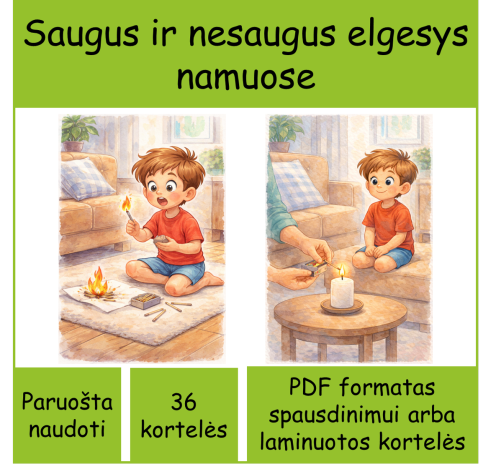Saugus ir nesaugus elgesys namuose (Nr. P133)