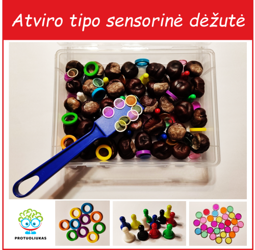 Sensorinė dėžutė su kaštonais