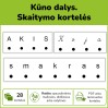 Skaitymo kortelės. Kūno dalys (Nr. P88)