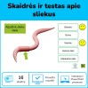 Sliekai - sandara ir testas apie juos (Nr. 197)