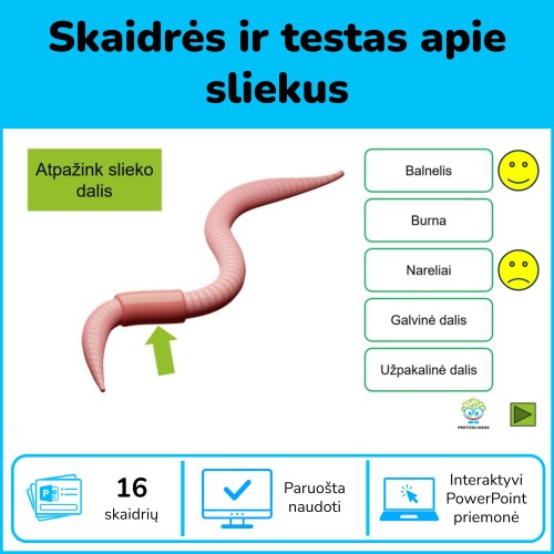 Sliekai - sandara ir testas apie juos (Nr. 197)