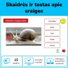 Sraigės - sandara ir testas apie jas (Nr. 199)