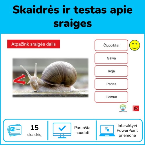 Sraigės - sandara ir testas apie jas (Nr. 199)