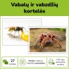 Vabalų ir vabzdžių kortelės (Nr. P65)