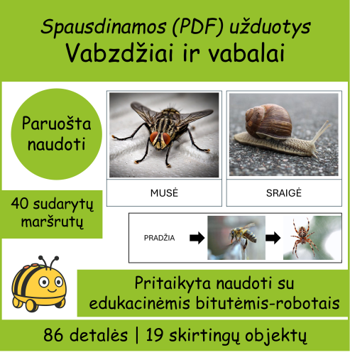Vabzdžiai ir vabalai (Bee-bot) (Nr. P102)