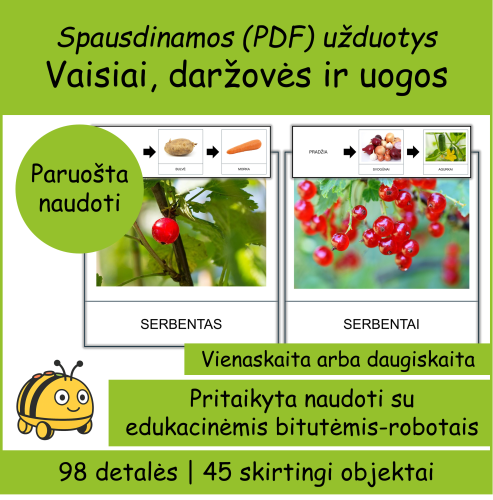 Vaisiai, daržovės, uogos (Bee-bot) (Nr. P106)