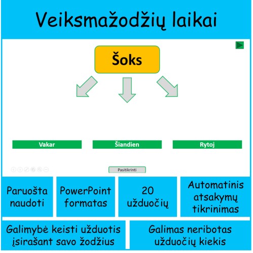 Veiksmažodžių laikai (Nr. 124)