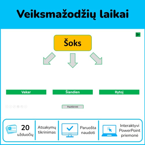 Veiksmažodžių laikai (Nr. 124)