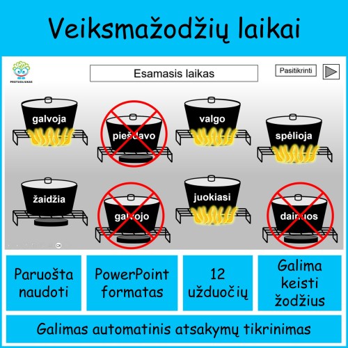 Veiksmažodžių laikai (Nr. 264)