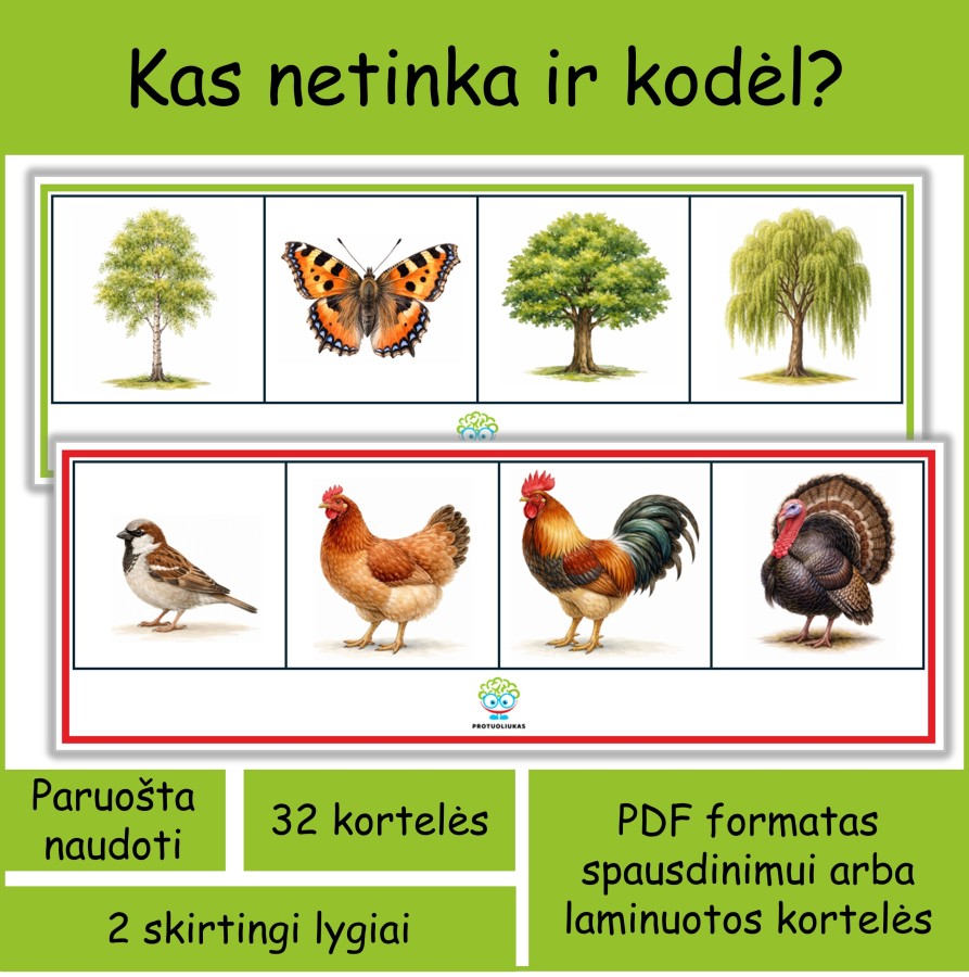 Apibendrinančios sąvokos | Kas netinka? (Nr. P158)
