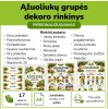 Ąžuoliukų grupės dekoro rinkinys (Nr. P218) Ąžuoliukų grupės dekoro rinkinys (Nr. P218)