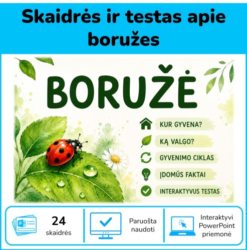 Boružė. Skaidrės ir testas (Nr. 265)