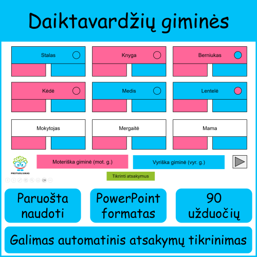 Daiktavardžių giminės (Nr. 255)