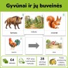 Gyvūnai ir jų buveinės | Tinka edukaciniams robotukams (Nr. P234) Gyvūnai ir jų buveinės | Tinka edukaciniams robotukams (Nr. P234)