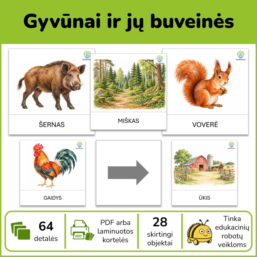 Gyvūnai ir jų buveinės | Tinka edukaciniams robotukams (Nr. P234) Gyvūnai ir jų buveinės | Tinka edukaciniams robotukams (Nr. P234)