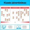 Įsivertinimas (Nr. 266)