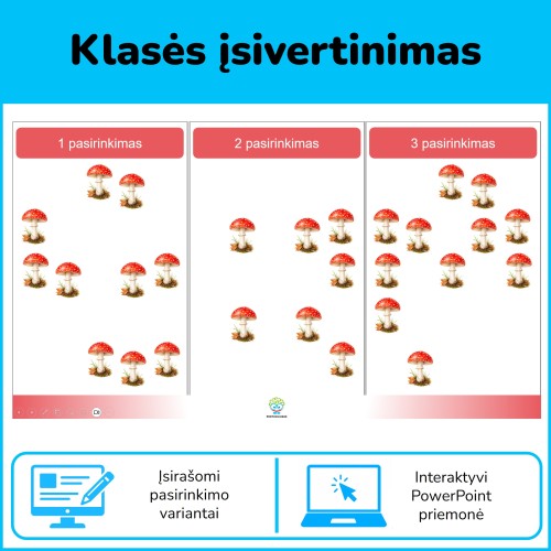 Įsivertinimas (Nr. 266)