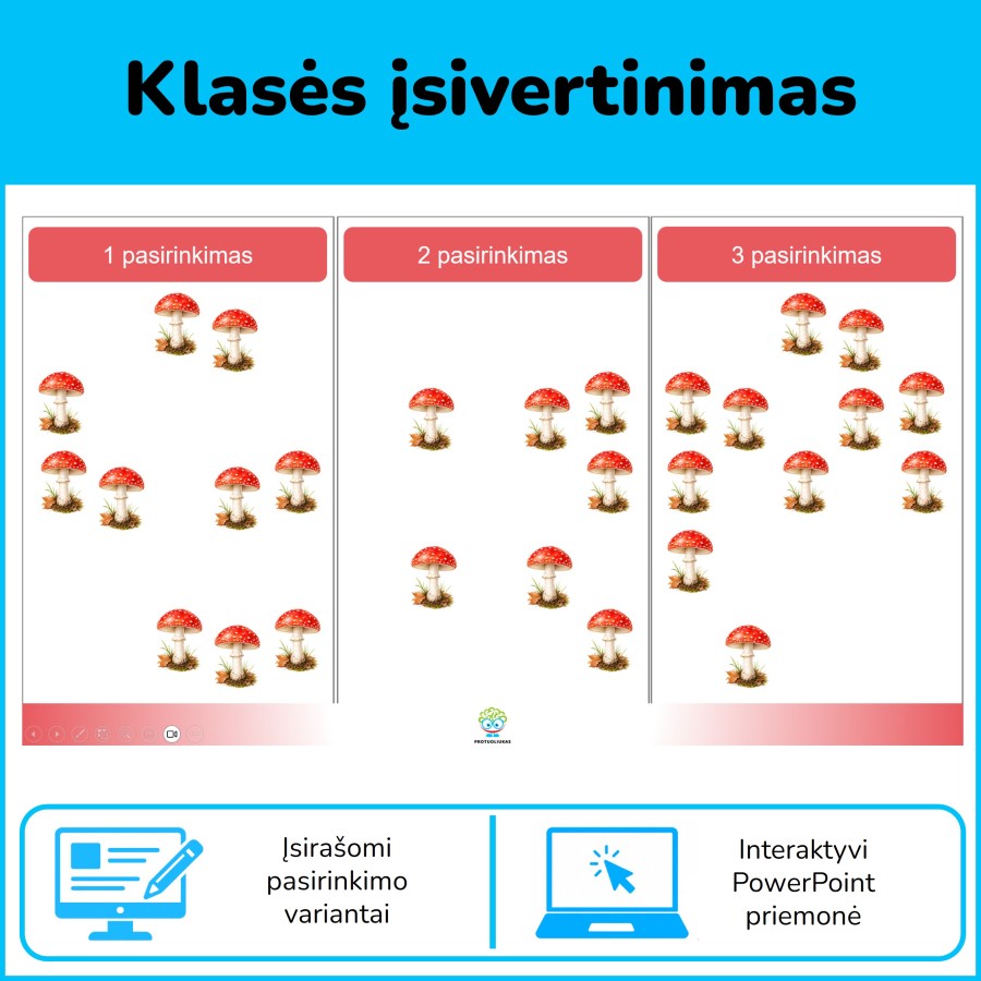 Įsivertinimas (Nr. 266)