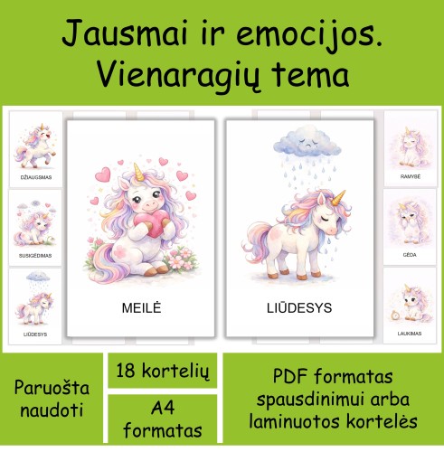Jausmai ir emocijos. Vienaragių tema (Nr. P139)