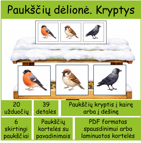 Kairė ir dešinė kryptis - žiemojantys paukščiai (Nr. P132)