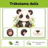 Ko trūksta? | Trūkstamos dalies atpažinimo kortelės (Nr. P238) Ko trūksta? | Trūkstamos dalies atpažinimo kortelės (Nr. P238)