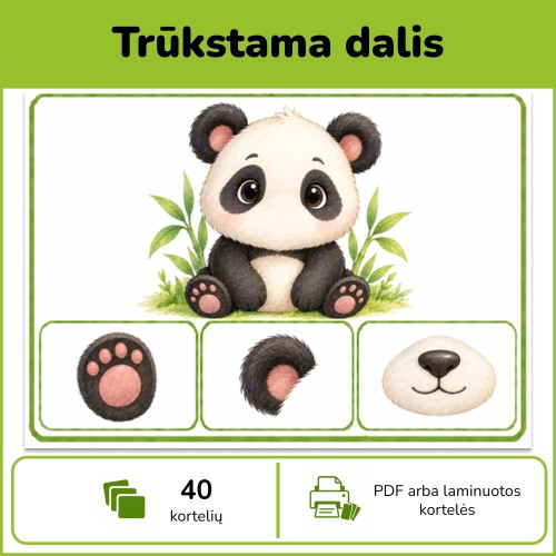 Ko trūksta? | Trūkstamos dalies atpažinimo kortelės (Nr. P238)