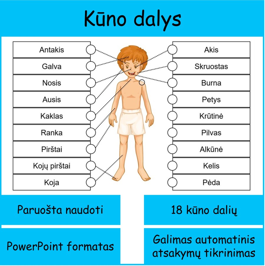 Kūno dalys (Nr. 195)