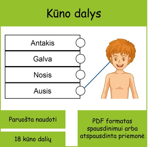 Kūno dalys (Nr. P85)