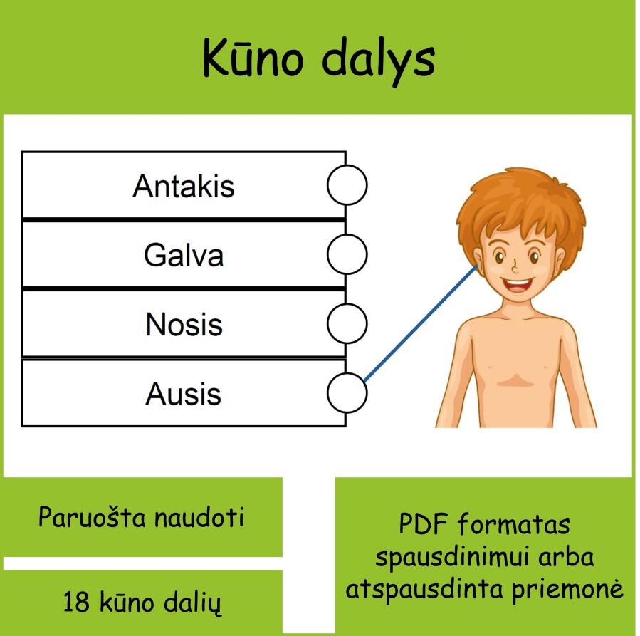 Kūno dalys (Nr. P85)